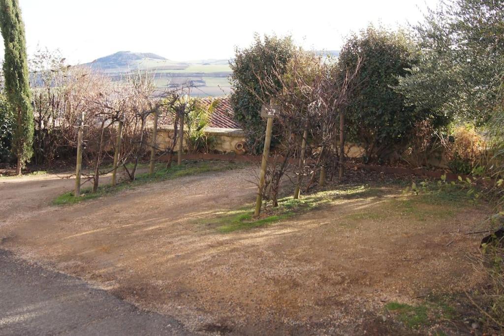 Les Pierres Blondes Apartment Montpeyroux  Exterior photo